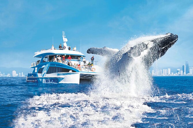 1hr Jet Ski Safari - What the $164.25 price really covers