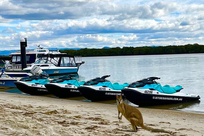 1hr Jet Ski Safari - Who will enjoy this jet ski safari