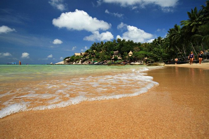 2.5 hours Pig Island-Virgin Islands & Snorkeling Jet Ski Safari - Key points to know before booking