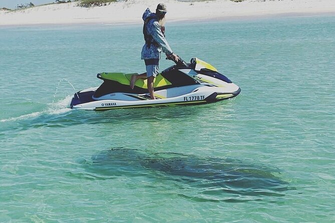 2 Hour Shell Island Jet Ski Dolphin Tour - Dolphins First, With No Guarantee