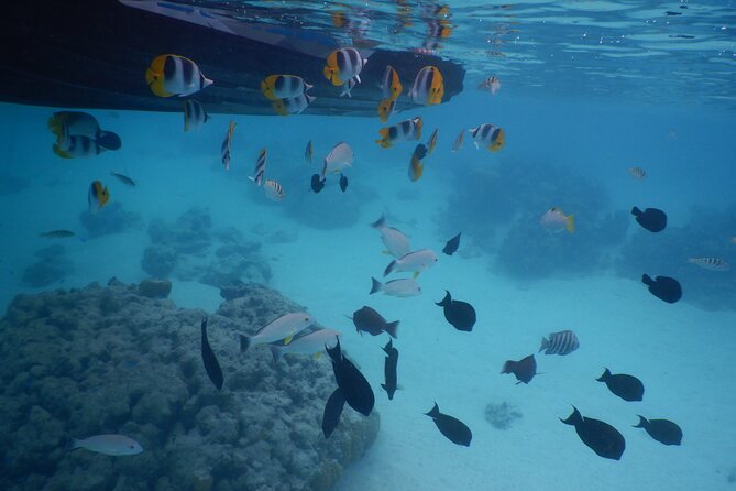 2 hours discovery tour of Moorea by Jet Ski - Starting at Opunohu with a short safety briefing