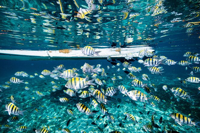 2 in 1 Parasail Cancun and Jet ski - Smart preparation for Playa Tortugas