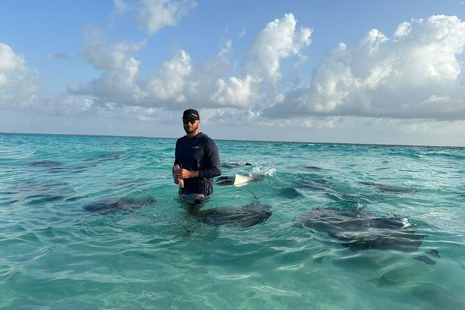 3 Hour Jet ski Adventure Swim with Rays and More - Stingray City: the main reason to book