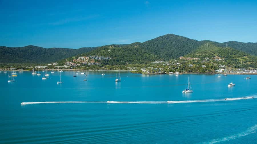 Airlie Beach: Airlie Adventure Jet Ski Tour - Key points before you book