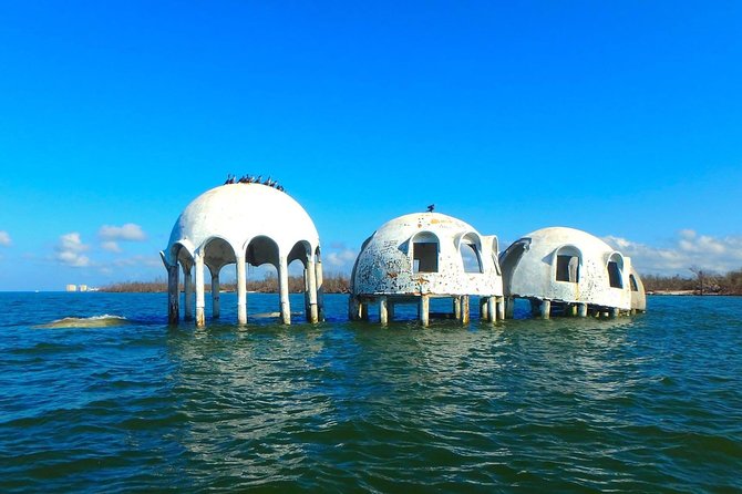 Avi's Premium Dolphin Tour by Jet Ski - Weather and cancellation planning