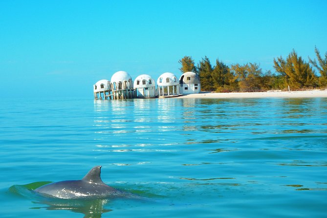 Avi's Premium Dolphin Tour by Jet Ski - What the two-hour ride feels like