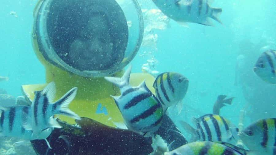 Bali: Sea Walk, Solo Jetski and Parasailing with Pickup - Key points to know before booking