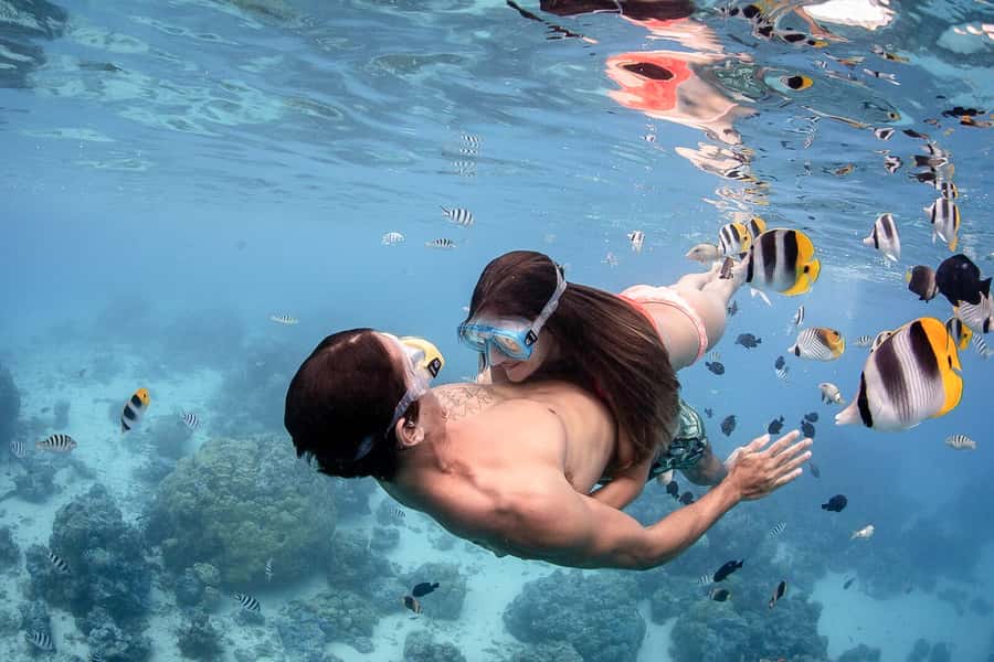 Bora Bora: Jet Ski, Lunch & Shark/ Ray Safari - Finding sharks and rays in a shallow lagoon