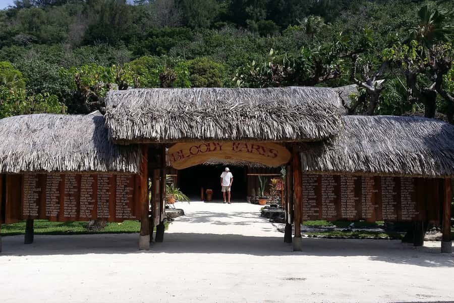 Bora Bora: Jet Ski, Lunch & Shark/ Ray Safari - Who should book this experience?