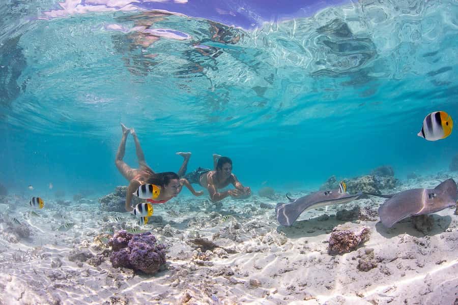 Bora Bora: Jet Ski, Lunch & Shark/ Ray Safari - Two hours around Bora Bora by jet ski
