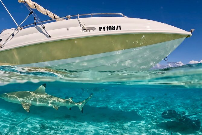 Bora Bora Jet Ski Tour - The islet stop and the coconut demonstration