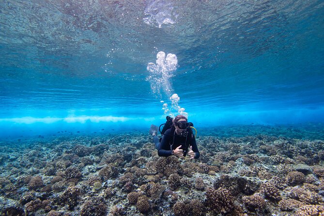 Bora Bora Jet Ski Tour - What the Guide Adds to the Experience