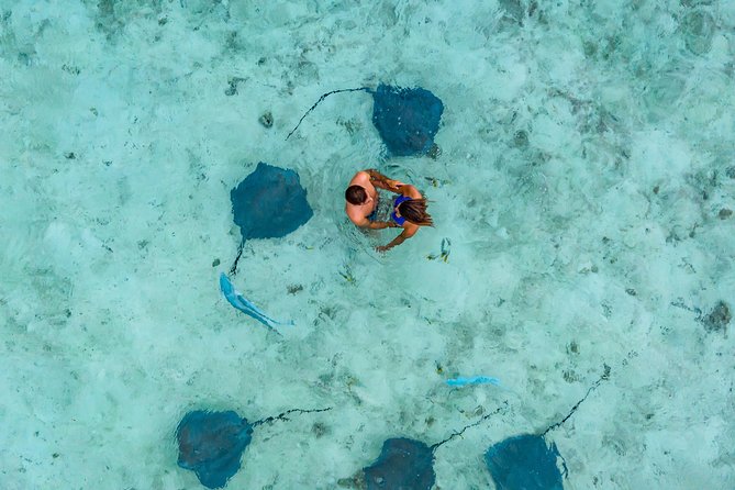 Bora Bora Jet Ski Tour, & Eco Shark / Ray Snorkel Cruise - A motu stop with swimming and coconut skills