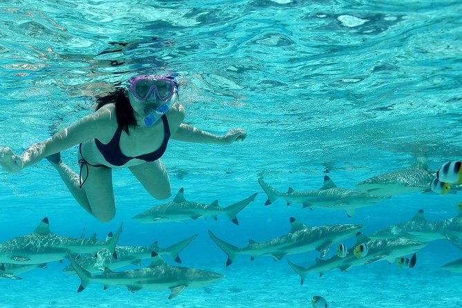 Bora Bora Jet Ski Tour, & Eco Shark / Ray Snorkel Cruise - Lunch at Lucky House, not Bloody Mary’s