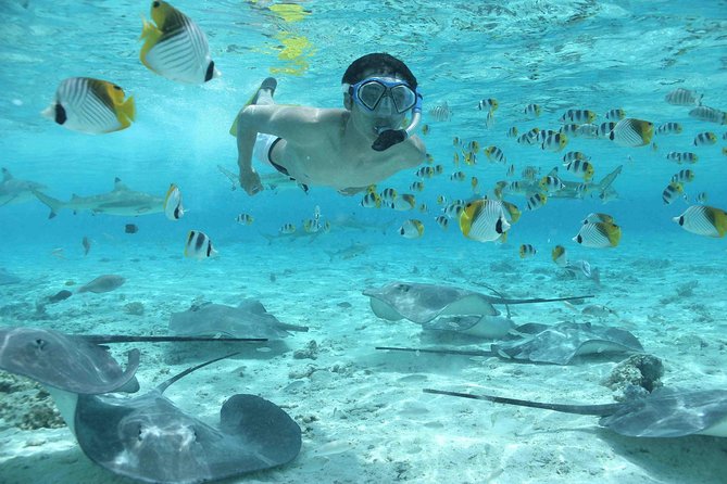 Bora Bora Jet Ski Tour, & Eco Shark / Ray Snorkel Cruise - How the two halves fit together