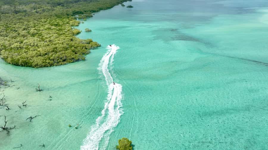 Brisbane: Half-Day Jetski Adventure to Moreton Bay Islands - Peel Island and Horseshoe Bay