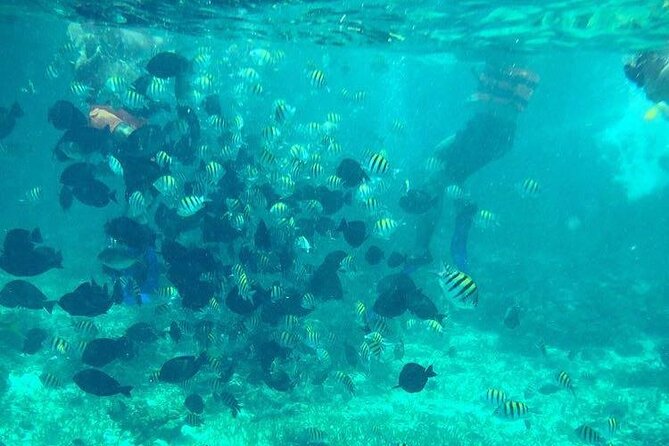 Cancun Jetski and Snorkel Adventure - Forty-five minutes across the lagoon and sea
