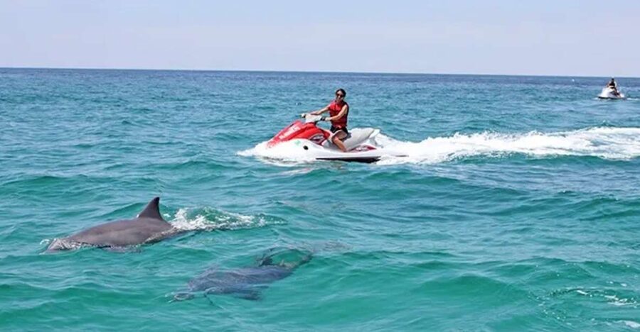 Cape Coral and Fort Myers: Wild Life Jet Ski Tour - Riding through Southwest Florida’s Gulf waters