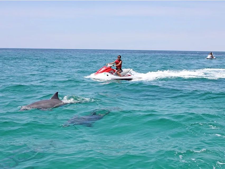 Cape Coral and Fort Myers: Wild Life Jet Ski Tour - Searching for dolphins and other marine life