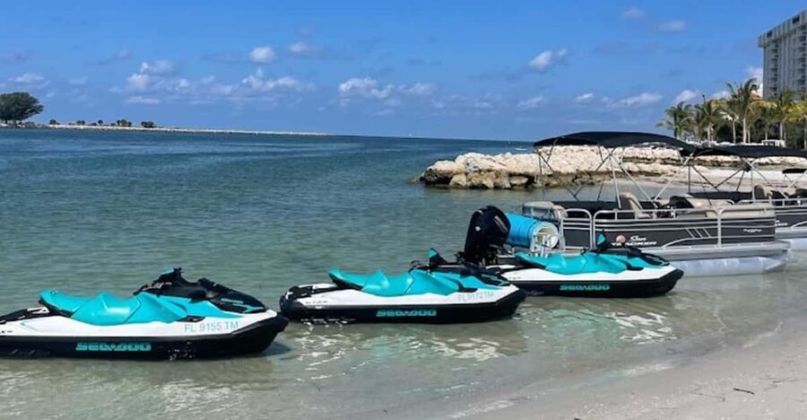 Clearwater: 1 Hour Jetski Dolphin Tour with Guide - A few practical ways to improve the outing