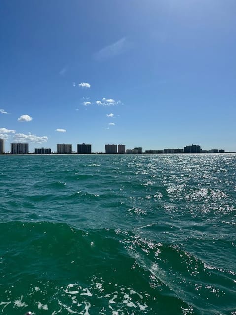 Clearwater: 1 Hour Jetski Dolphin Tour with Guide - Sharing one ski with up to three people