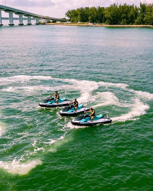 Clearwater: 1 Hour Jetski Dolphin Tour with Guide - The best match for this Clearwater activity