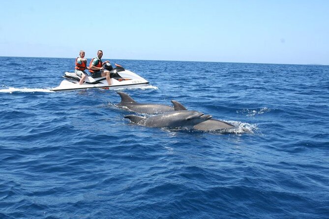 Crab Island Dolphin Jet Ski Adventure - Key things to know before you book