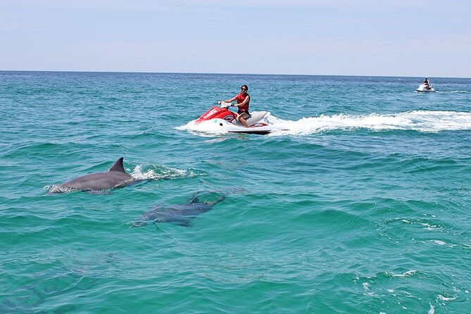 Crab Island Dolphin Jet Ski Adventure - Starting at 322 Miracle Strip Parkway