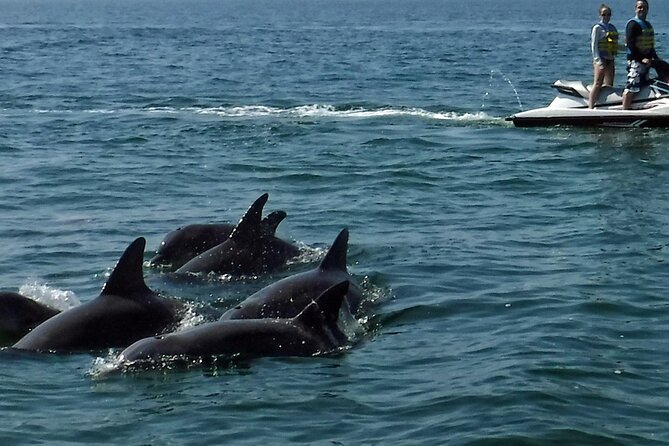 Crab Island Dolphin Jet Ski Adventure - Passing Crab Island and the Destin Harbor area