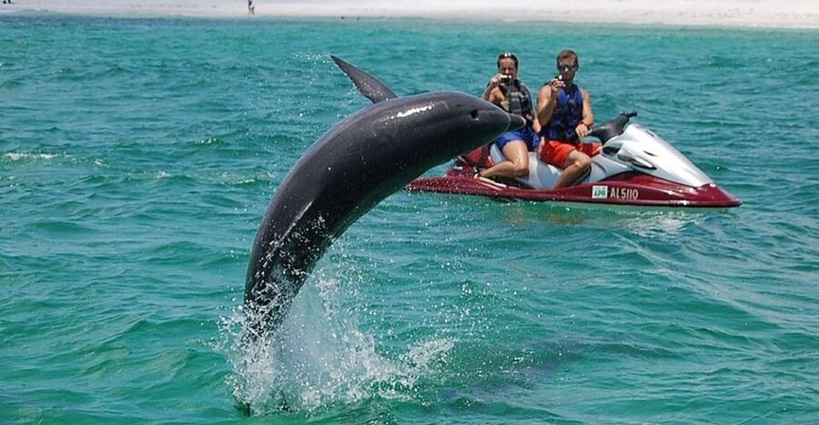 Destin: Crab Island Dolphin Jet Ski Tour - Riding through Destin Harbor toward Crab Island