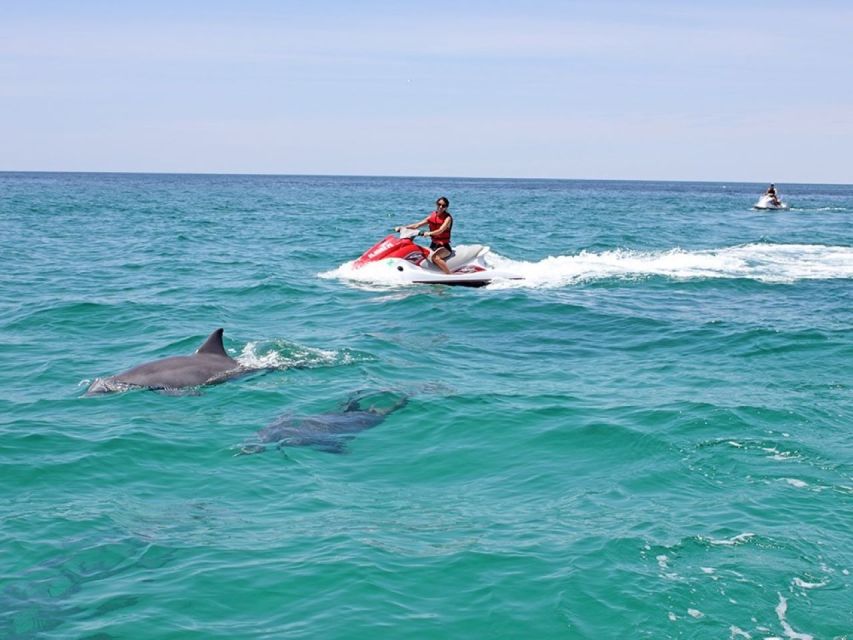 Destin: Crab Island Dolphin Jet Ski Tour - What the $203 price means