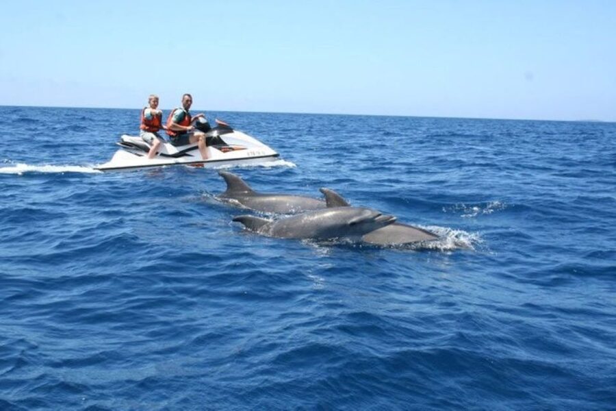 Destin: Crab Island Dolphin Jet Ski Tour - Practical preparation for a smoother ride