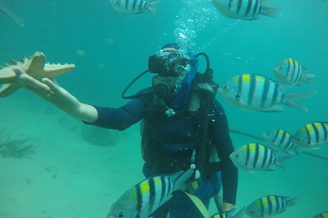 Discover Scuba Diving ( beginners) Combined With Jet Ski - The 15-minute jet ski ride