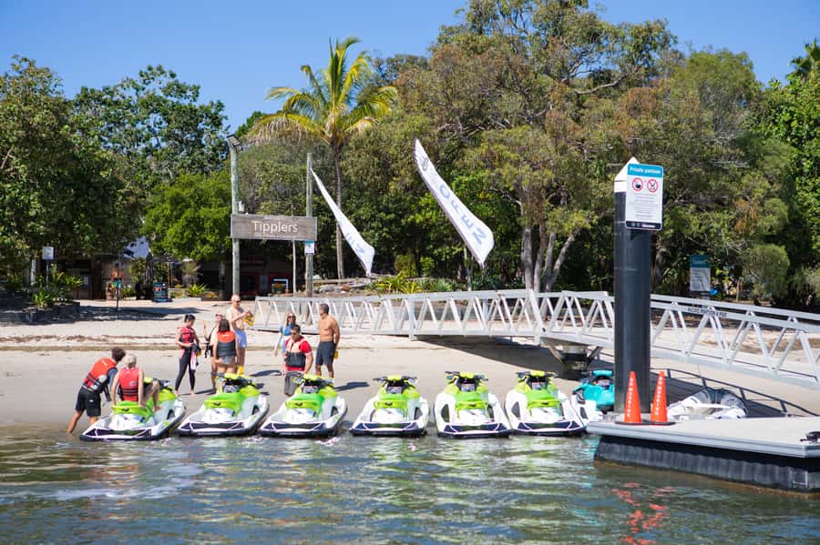 Gold Coast: 1.5-Hour Jet Ski Safari to Stradbroke Island - Who will enjoy this Gold Coast safari?