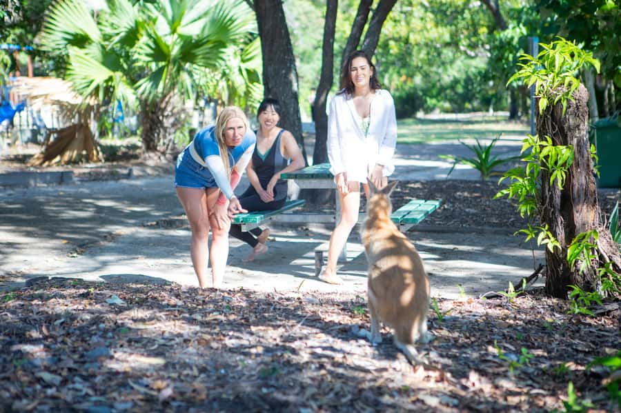 Gold Coast: 1.5-Hour Jet Ski Safari to Stradbroke Island - Following the guide through Gold Coast waterways