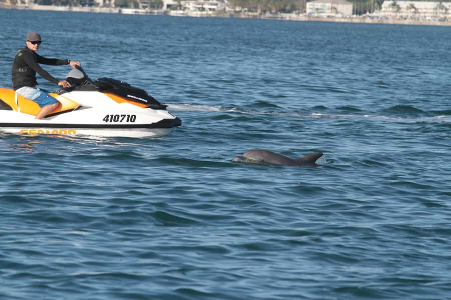 Gold Coast: 30 min Jet Ski Hire - No Slow Zones - Key points to know before booking