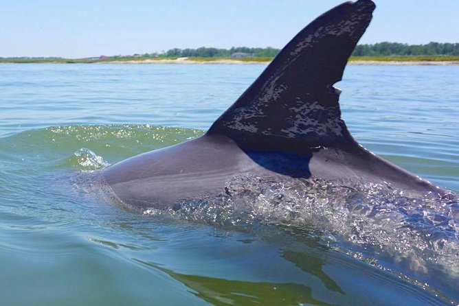 Hilton Head Island Jet Ski Adventure - What the Hilton Head jet ski ride is really like