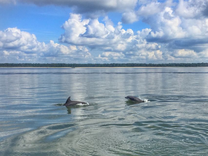 Hilton Head Island: Jet Ski Tour - Calibogue Sound opens the throttle