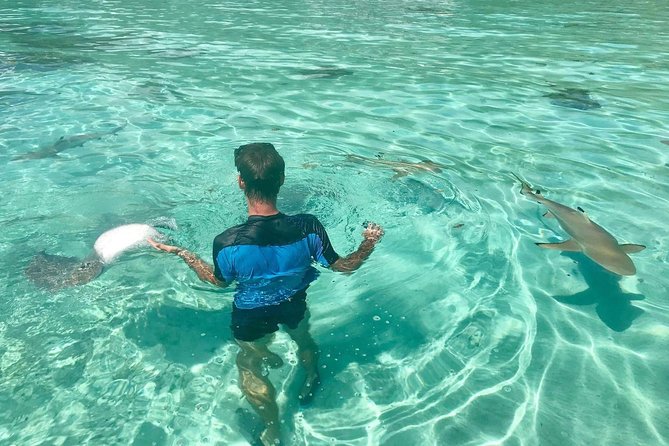 Jet Ski Moorea Customed Tour only - What happens at Marina Vai’are
