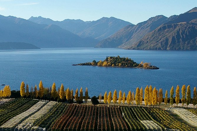 Lakeland Jet Ski Adventure Tour - Lake Wanaka - Who will enjoy this Lake Wānaka outing most?