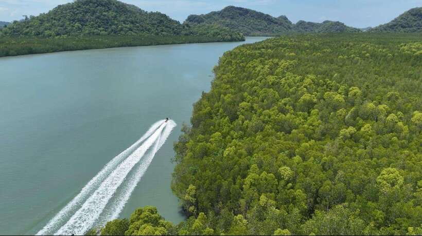 Langkawi: Mangrove Jet Ski Tour with Drone Video - Eagles at Pulau Singa