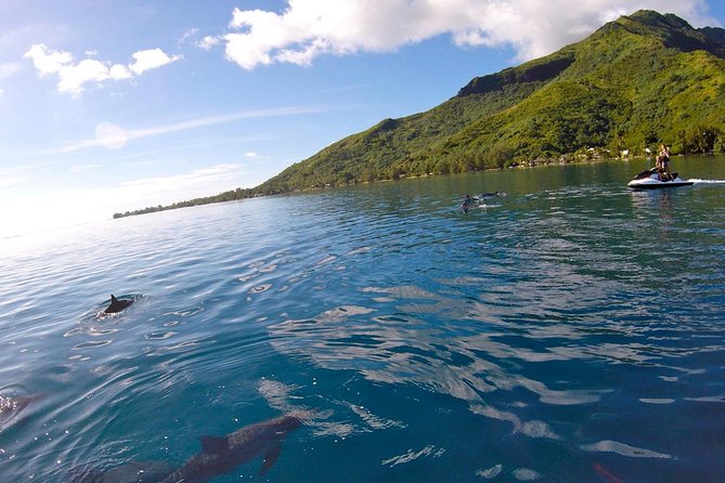 Moorea Solo or Twin 3 hours Jet Ski Tour - Who will enjoy this most?