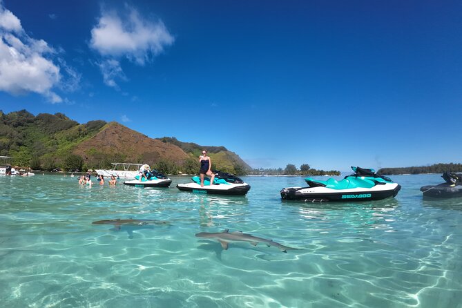 Moorea Solo or Twin Island Tour Jet Ski 4 hours - Opunohu Bay and Moorea’s mountain setting