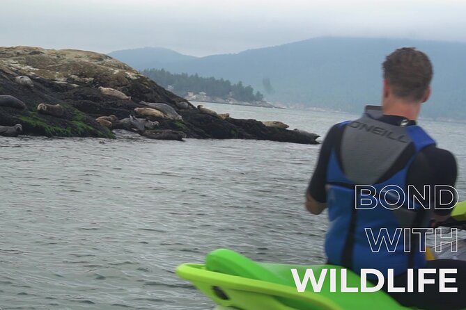 Ocean is Yours Seadoo Experience from Vancouver - What the guides add to the experience