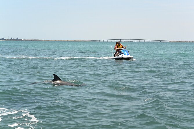Perth Jet Ski Tour - The one-hour Eco Tour: a calmer introduction
