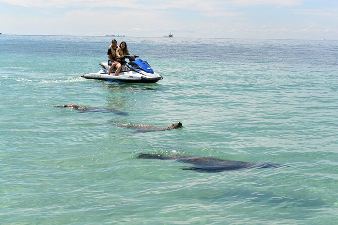 Perth Jet Ski Tour - What the strongest praise points to