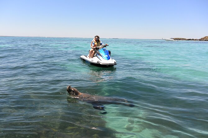 Perth Jet Ski Tour - What happens at the Rockingham meeting point