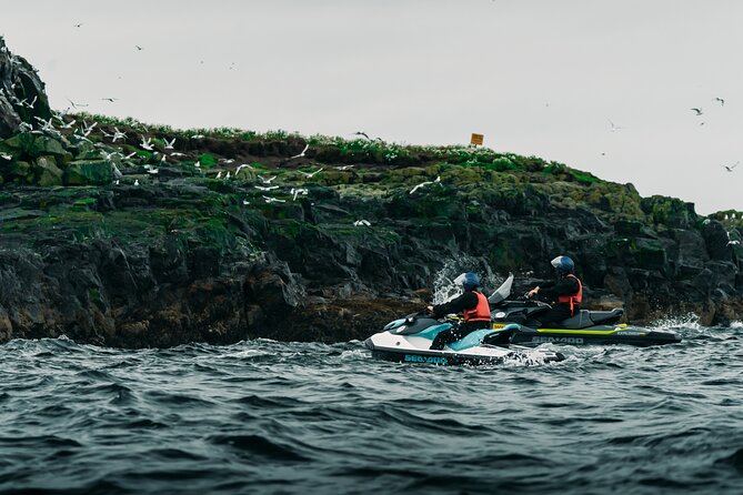 Puffin Jet ski tour in Reykjavík - Is $179 a fair price?