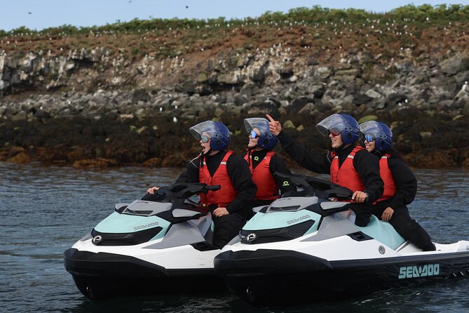 Puffin Jet ski tour in Reykjavík - Puffins and other seabirds in the bay