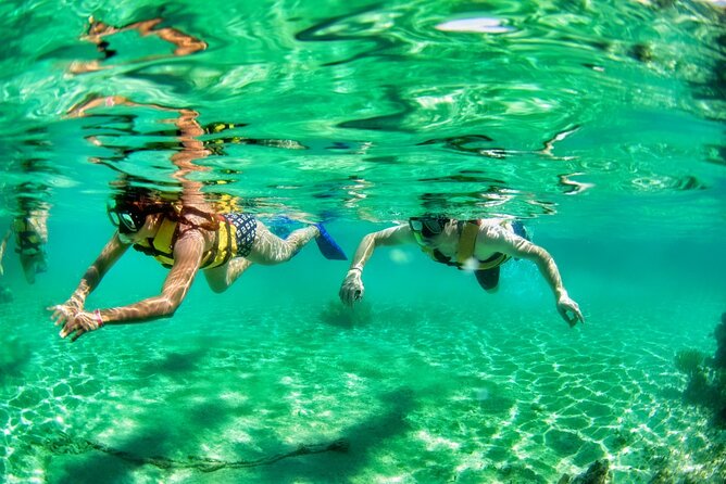 Speedboat across the Mangroves & Snorkel with Jet Ski Rental - Guides and safety support